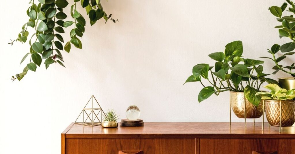 Potted plants and earthy tones are always a great idea for home design in 2022.